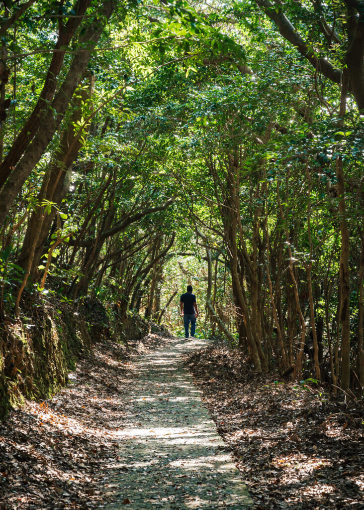 sentier de randonnée sur l'île de Fukue