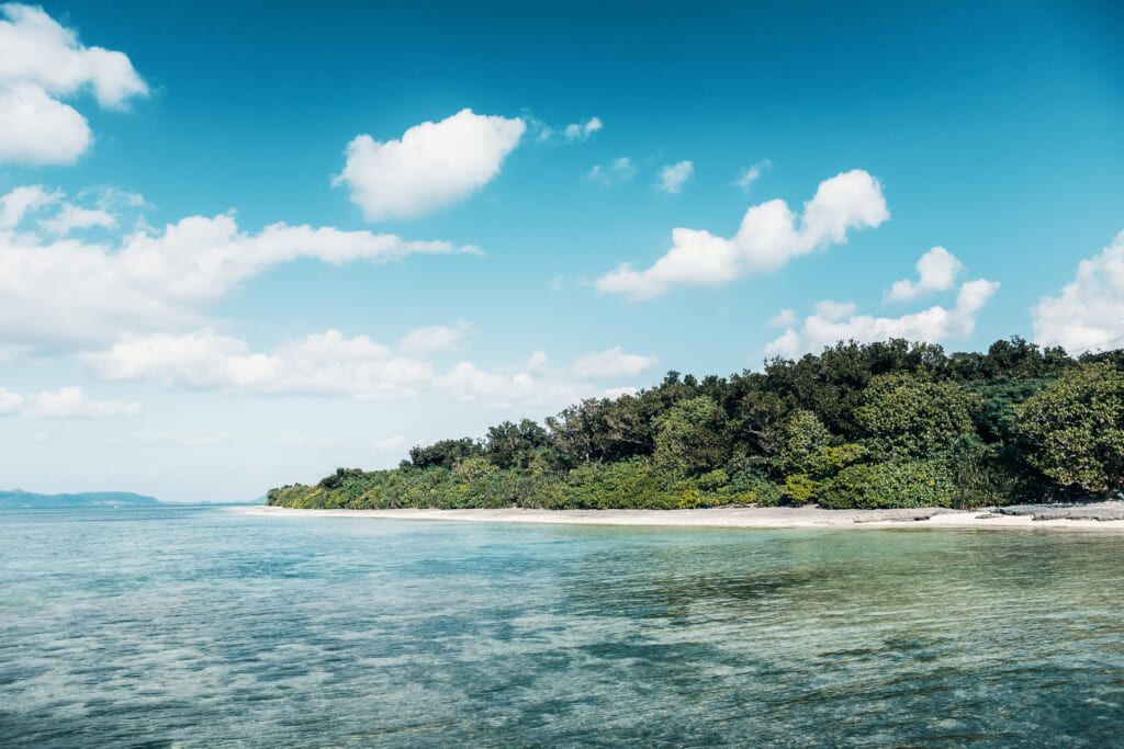 Plage d'une île d'Okinawa au nouvel an
