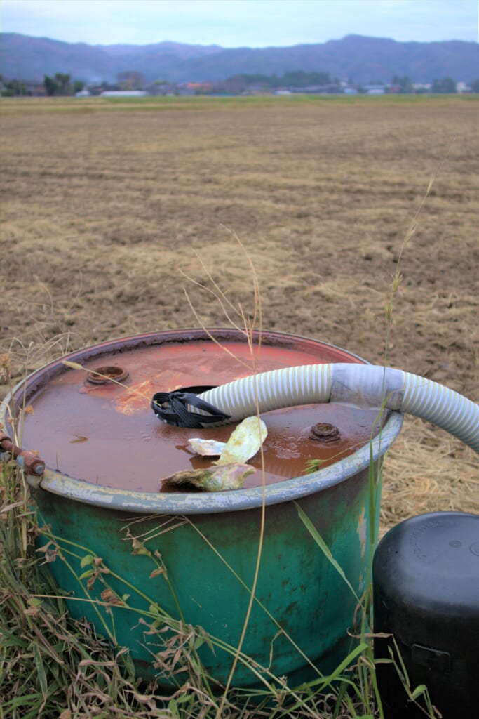 Astuce écolo japonaise : un système de circulation de l’eau à travers des coquilles d’huîtres
