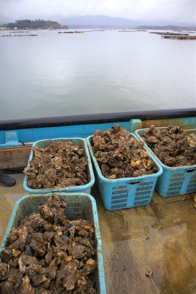 Cageot d'huîtres Akitsu-Maru