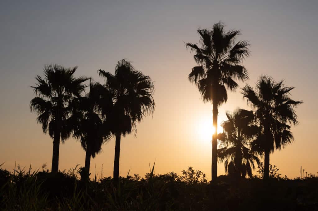lever de soleil sur Enoshima