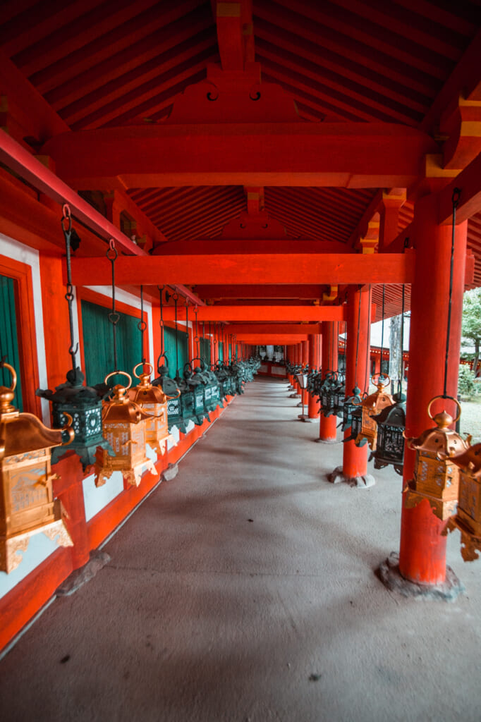 Allée de lanternes au Kasuga Taisha
