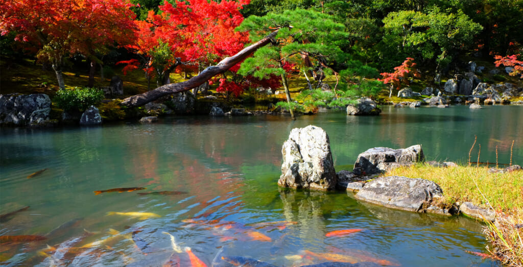 Comment dire oui et non en japonais ?
