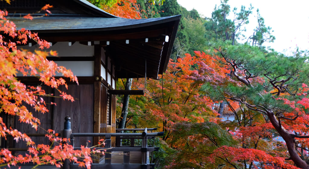 Oui et non en japonais