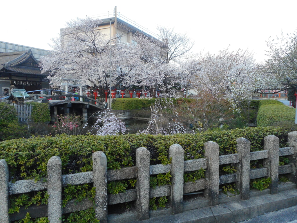 Le rokusonno et son jardin fleuri