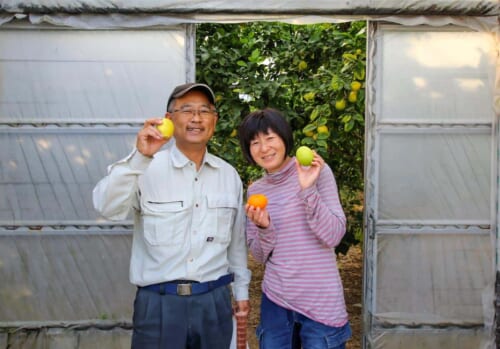 séjour à la ferme sur une île rurale au Japon