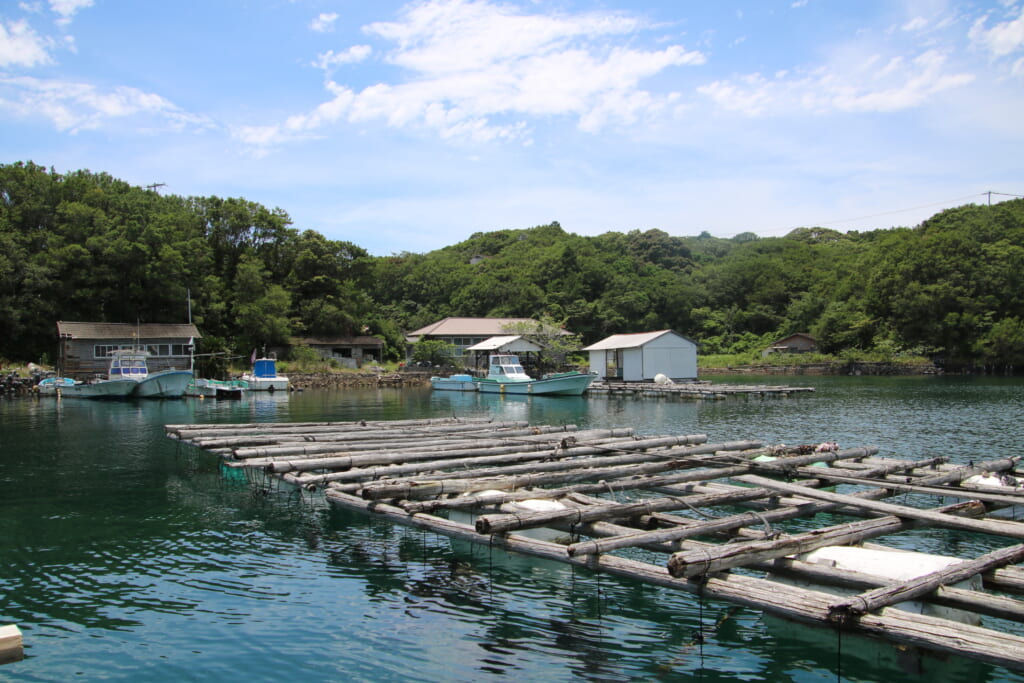radeau servant à élever les huîtres perlières au japon