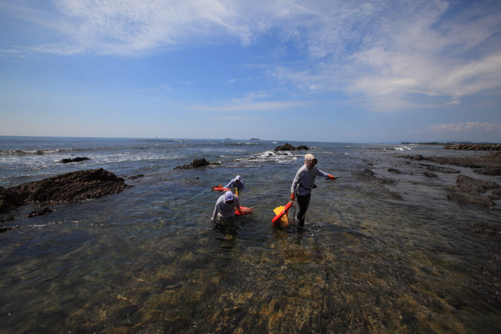 des ama, pêcheuses japonaises sur la côte