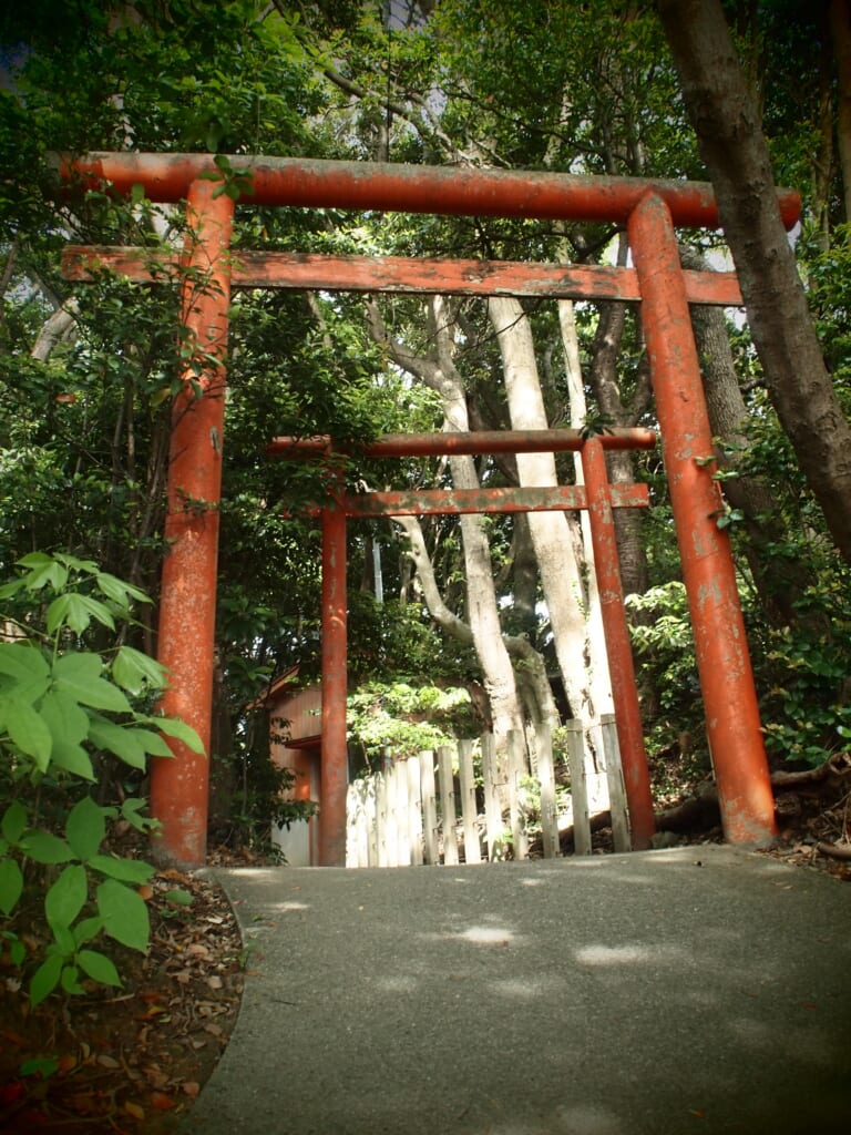 torii vermillon au milieu des arbres, dans un sanctuaire shinto japonais