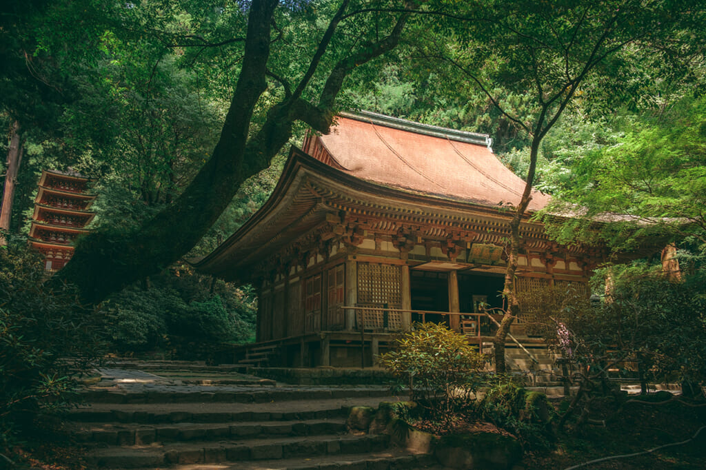Temple japonaise et pagode dans la forêt