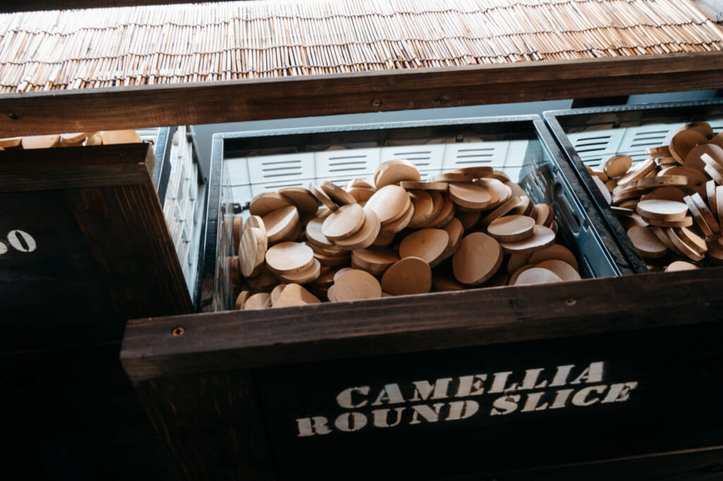 le camélia est une véritable pépite d'or à Goto