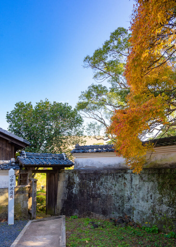 La résidence Gotoshi et sa nature omniprésente