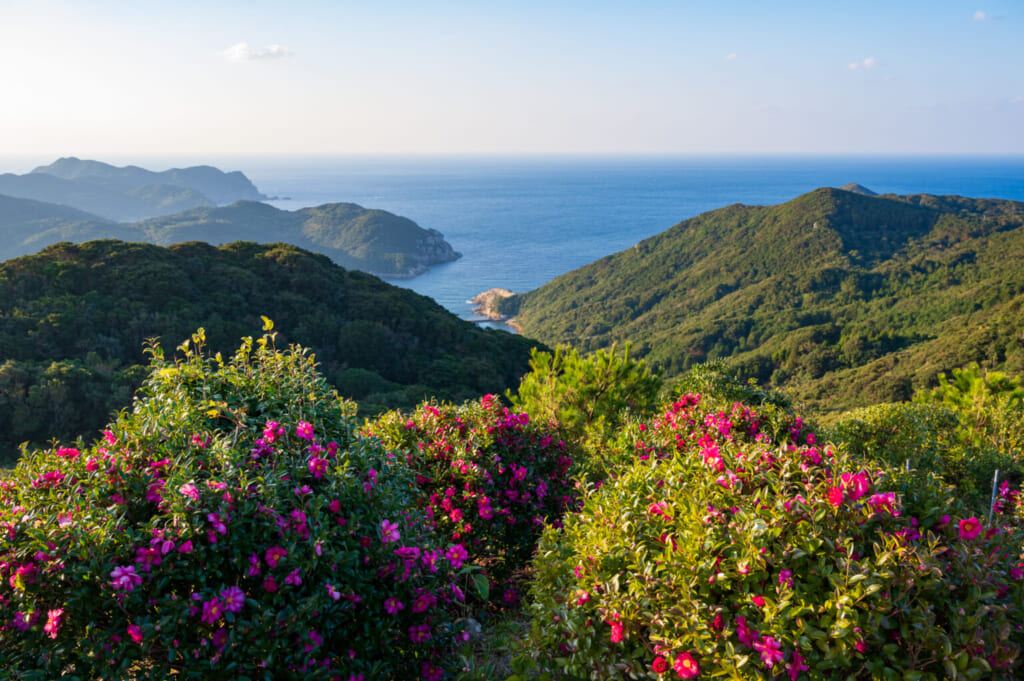 L'île de Hisaka et ses camélias sur les îles Goto