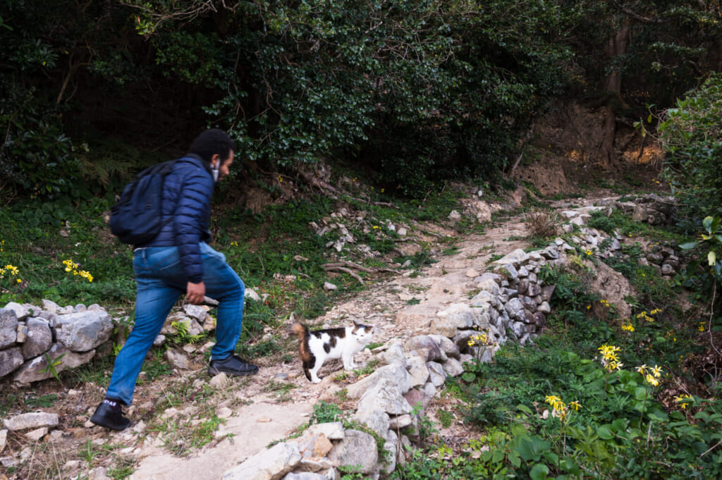 Un chat guide un homme sur un sentier sur les îles Goto