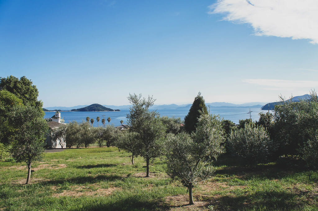 À la découverte des olives de Shodoshima, la plus méditerranéenne des îles japonaises