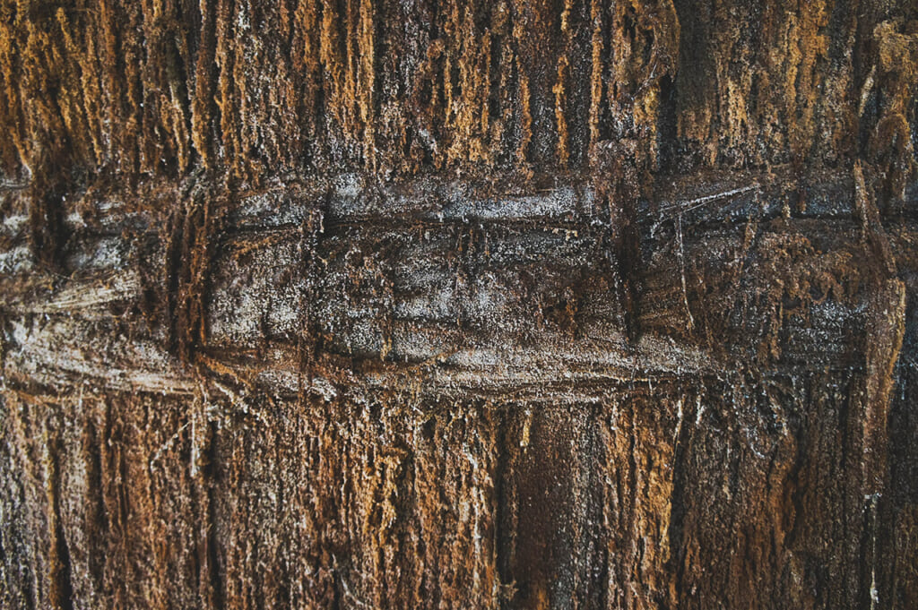 Moisissure sur un tonneau de sauce de soja