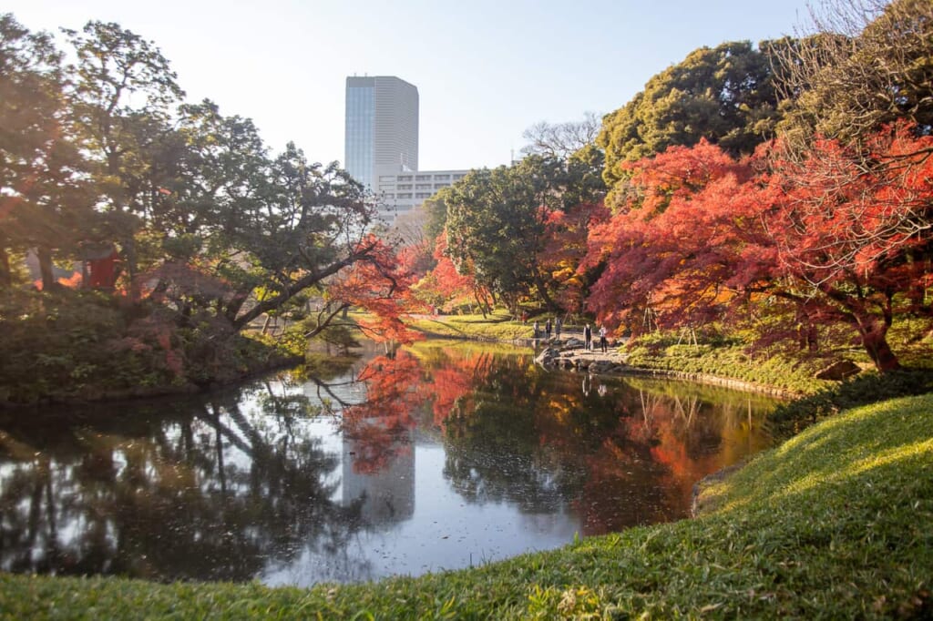 Koishikawa Korakuen est idéal pour profiter de la Nature