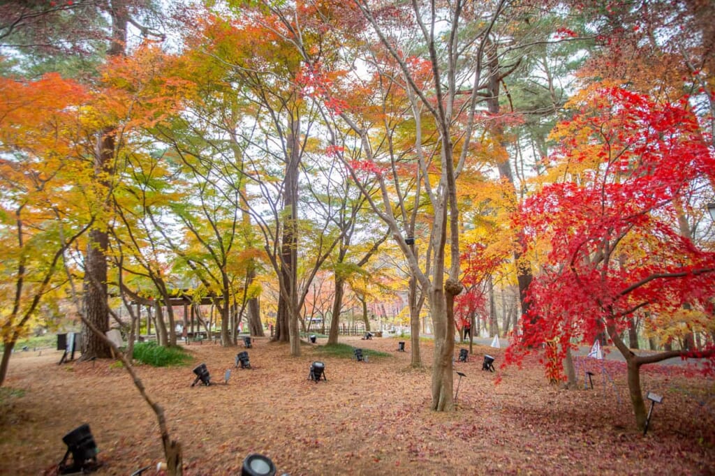 Le Parc national du gouvernement Musashi Kyuryo