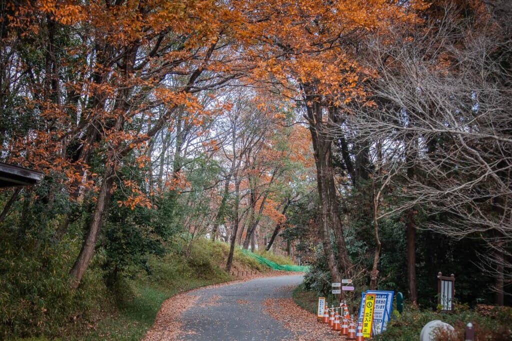 Le Parc national du gouvernement Musashi Kyuryo offre de nombreuses activités en extérieur