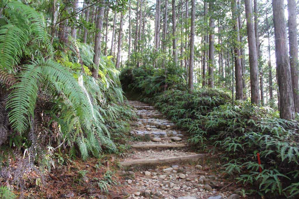 Marches le long d'un des chemins de pèlerinage du Kumano Kodo