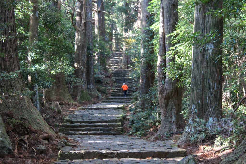 Le sentier de nachi taisha le long du Kumano Kodo