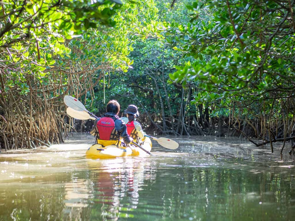 excursion en canoë à okinawa