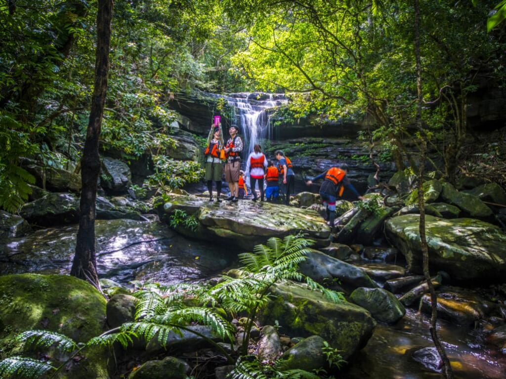 Randonnée accessible en forêt