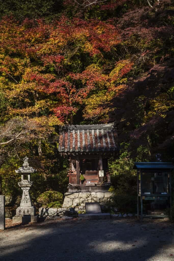 Feuillages d'automne autour d'un temple bouddhiste du Japon