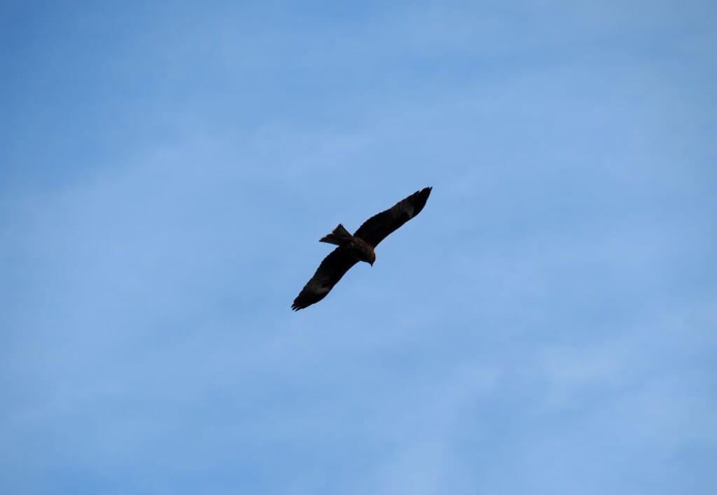 un passant à la plage Fukuura