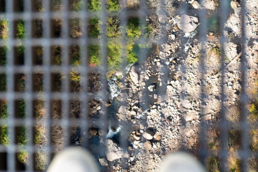 vue de la valée depuis le sol grillagé du pont suspendu