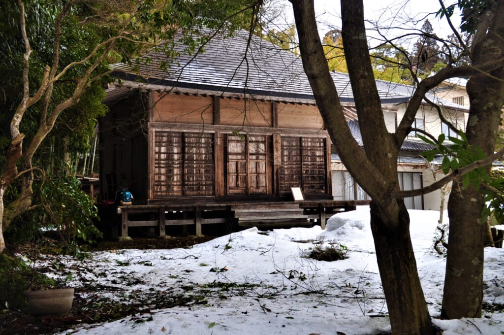 Dans la forêt sur les traces du Chûson-ji