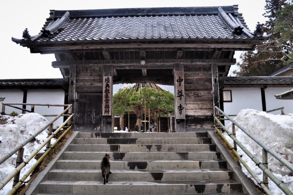 Entrée du Hondô: suivez le guide !