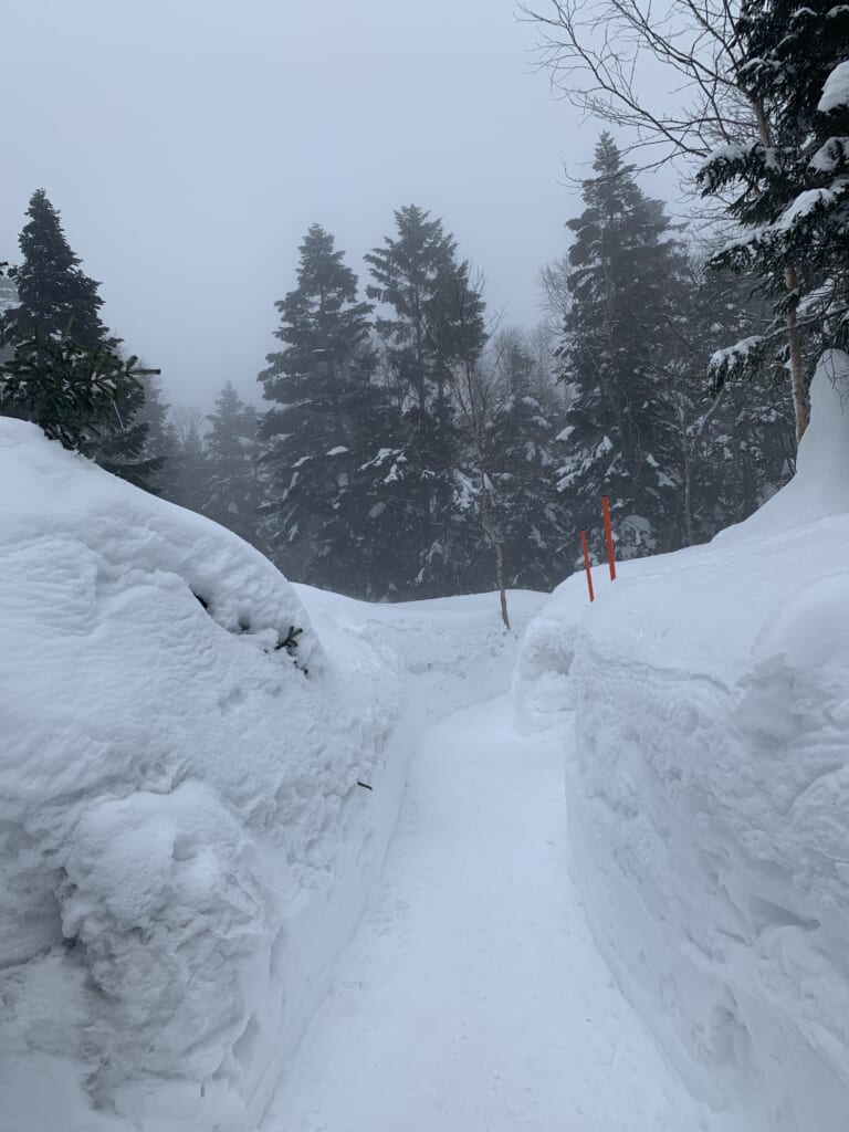 sentier de randonnée au sommet du téléphérique de shinhotaka