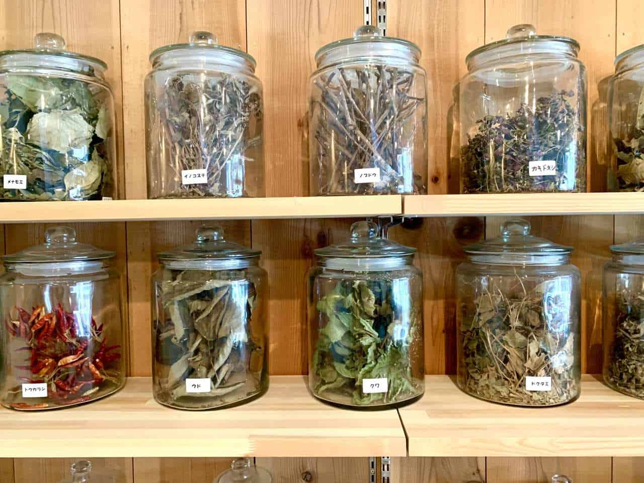 Découverte de la gastronomie de Hida-Takayama au cœur du “satoyama”