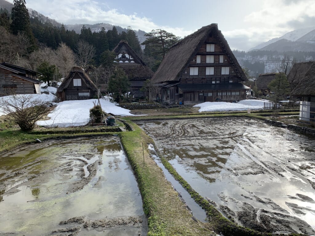 hiver à shirakawa-go