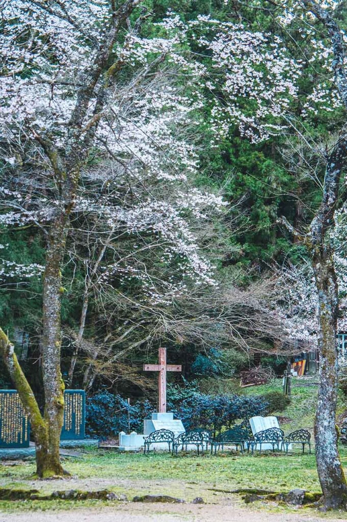 Croix chrétienne et cerisiers en fleur au Japon