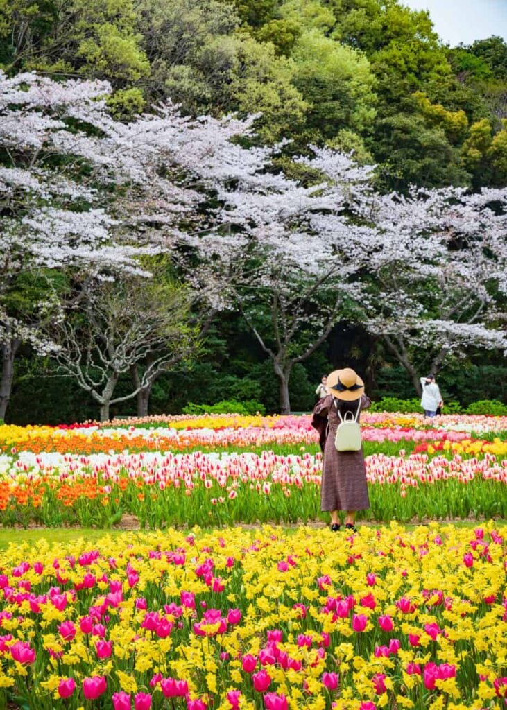 Hamamatsu Flower Park et ses parterres de fleurs magiques