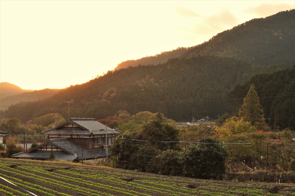Le soleil se couche à l'horizon