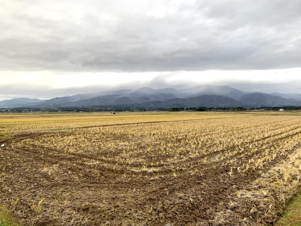 un champ sur l'une des îles du Japon