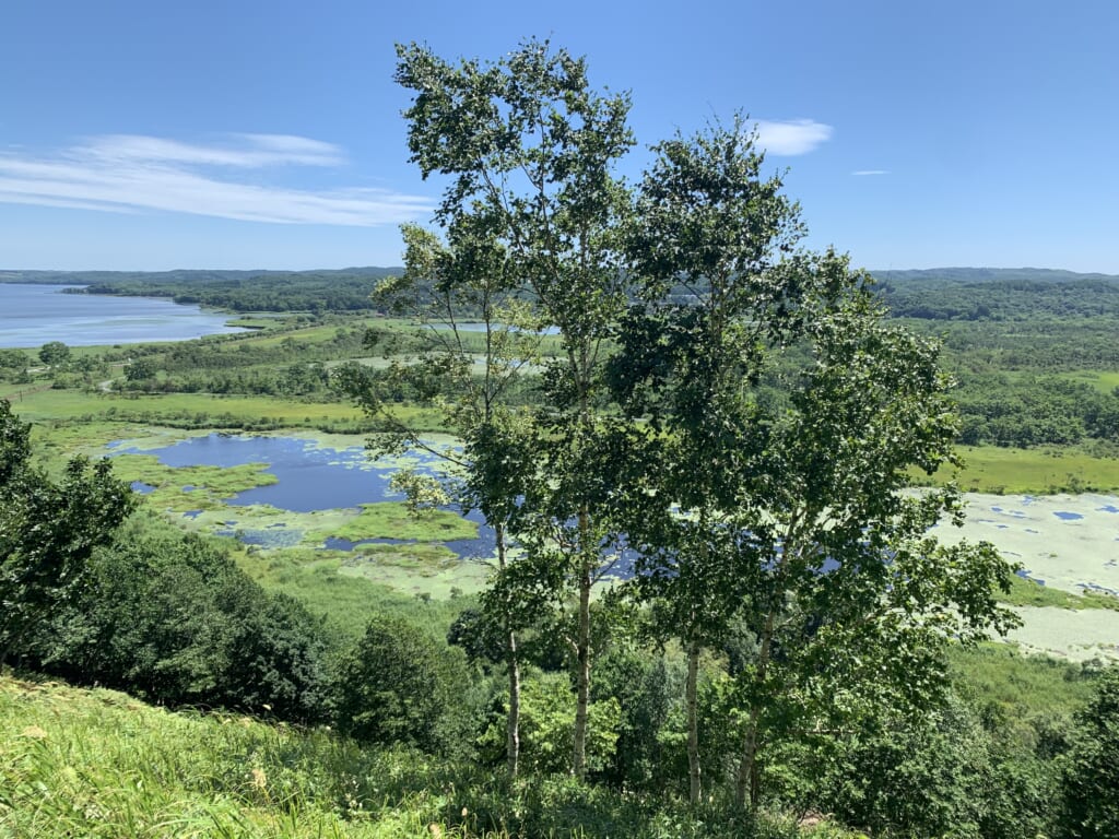 Parc national Kushiro, marais