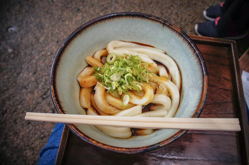 Bol de nouilles Ise udon