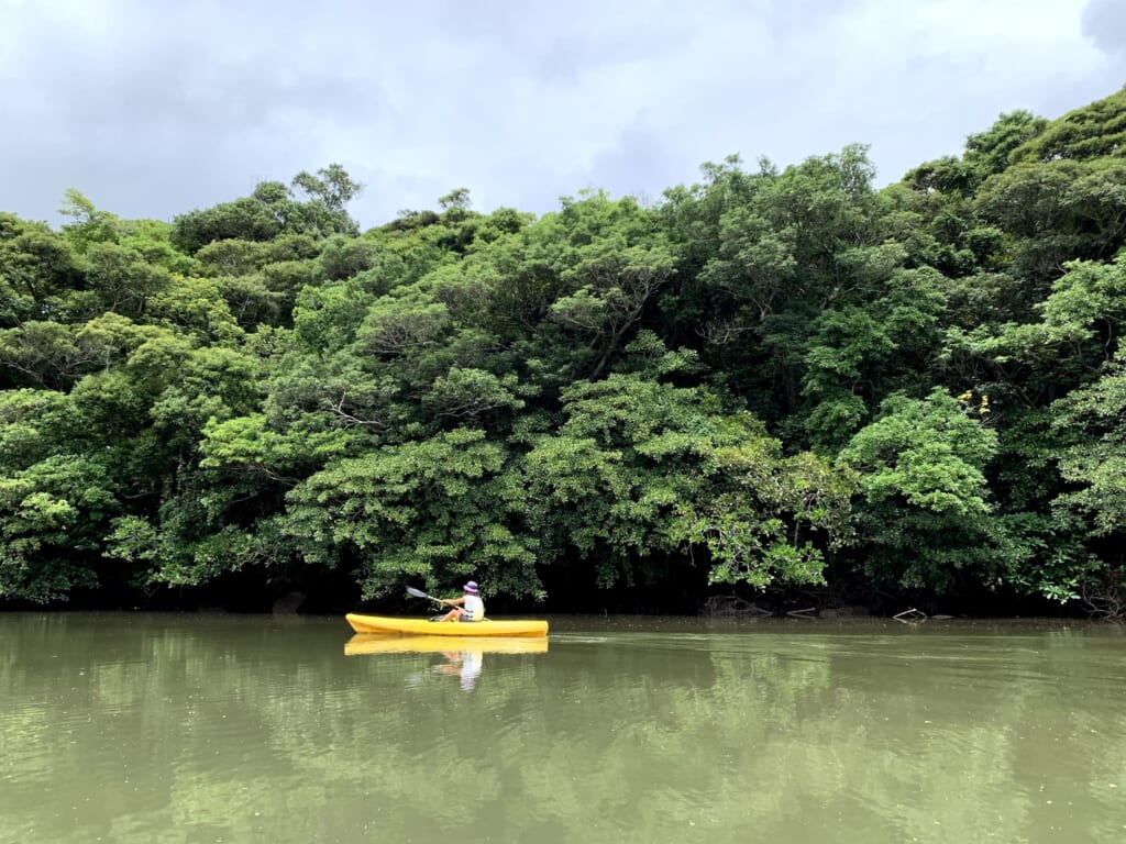 un homme faisant du canoë sur l'île d'Iriomote à Okinawa, au Japon