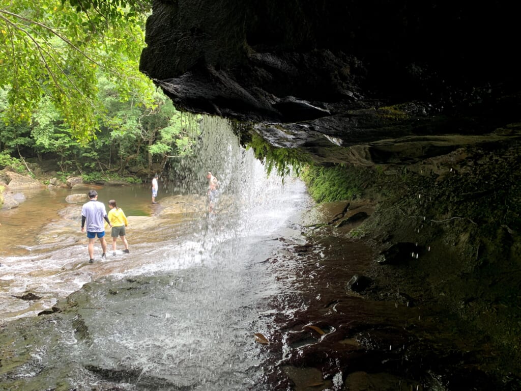 une cascade dans la jungle au Japon sur l'île d'Iriomote
