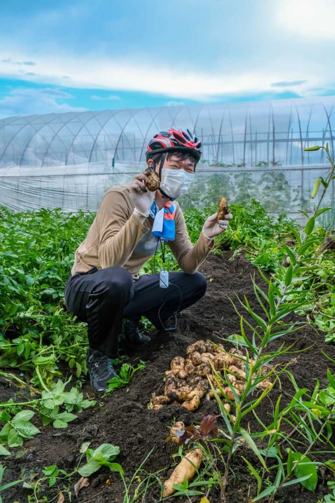 Japonais portant un casque de vélo et montrant des pommes de terres tout juste déterrées