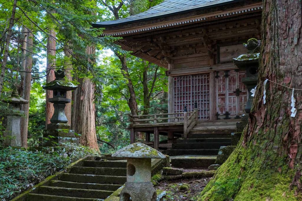 Le sanctuaire Kimpo à Semboku, au milieu d'une forêt de cèdres du Japon