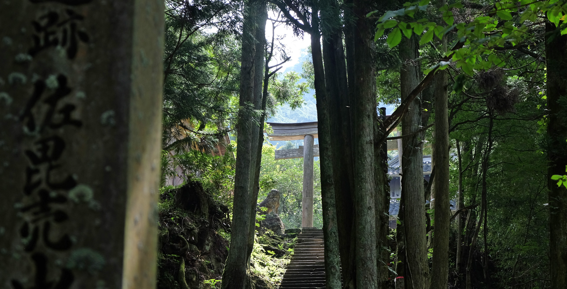 Petits trucs et astuces pour préparer votre valise avant d’aller au Japon