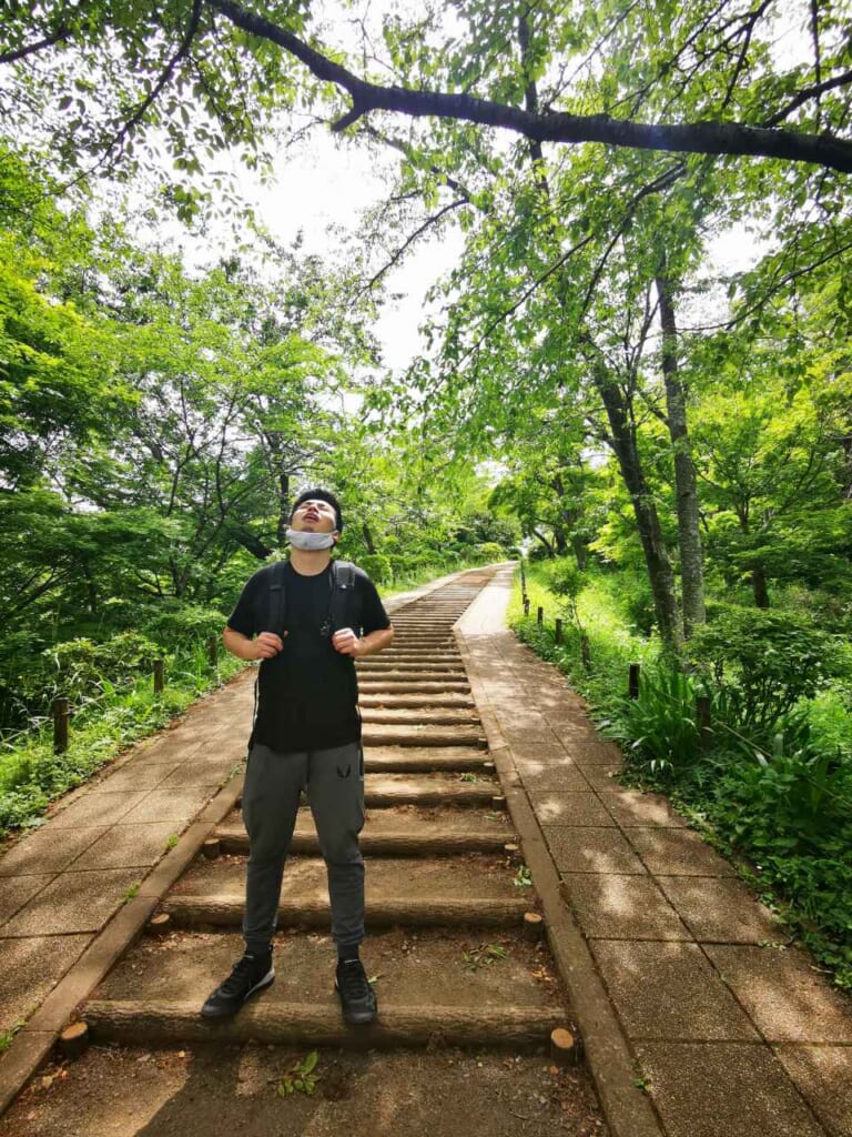 un escalier de la randonnée du Mont Kobo à Kanagawa
