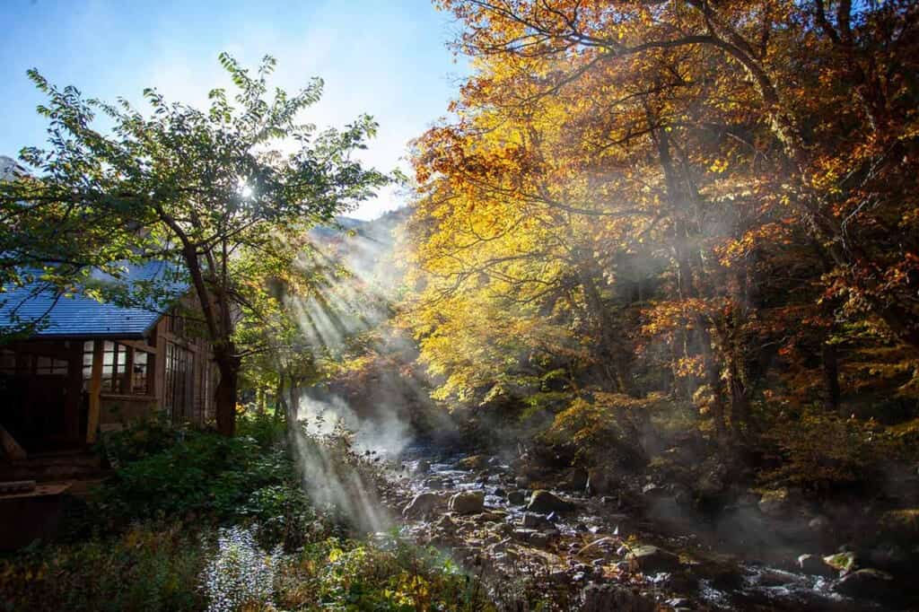 lumière matinale onsen au japon