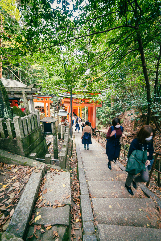 torii et marches du sanctuaire Fushimi Inari Taisha