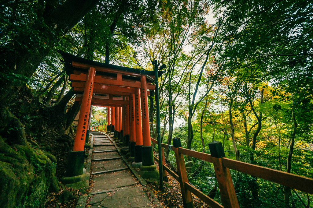 série de torii dans les arbres au Fushimi Inari Taisha